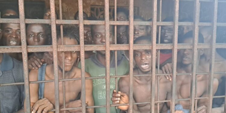 Waterloo Police Crackdown: 37 Individuals Appear in Court for Drug-Related Offenses