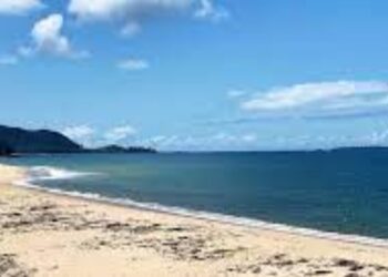 Urgent Reevaluation of Black Johnson Beach Project Needed