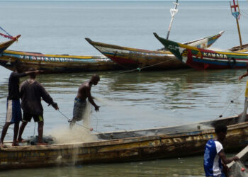 Fishermen Bemoan Illegal Fishing