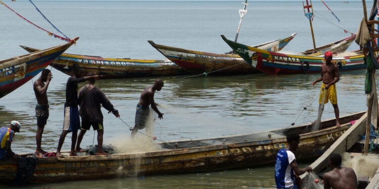 Fishermen Bemoan Illegal Fishing