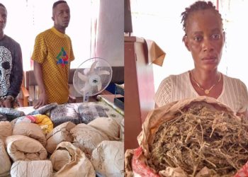 Four Individuals Arrested with Large Quantity of Kush and Cannabis 