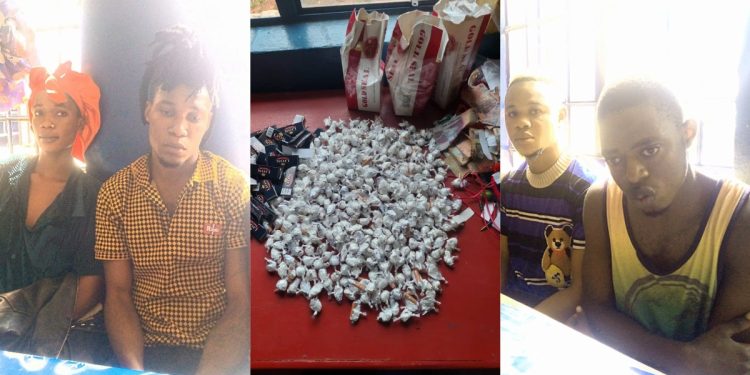 Scorpion Raids By CID Discovered Huge Quantities of Kush and Tramadol in Kabala