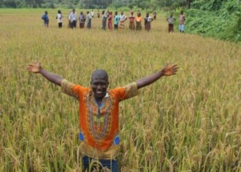 WFP Supports Pajet’s Journey: From Commercial Motorcycle Rider to Agricultural Champion
