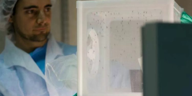 Scientists discover new way to help stop the transmission of malaria from mosquitoes to humans