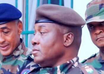 Sierra Leone Agrees to Send Troops to Niger