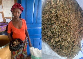 40-Year-Old Woman Arrested for Cannabis Possession