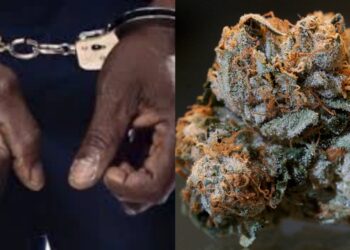 10 Arrested for Kush Possession in Waterloo