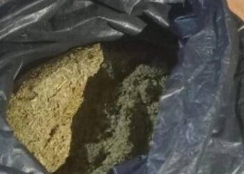 Liberia Customs Arrests Sierra Leonean Woman With Smuggled Drugs