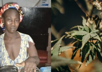 Woman Arrested with Cannabis Sativa in Kambia