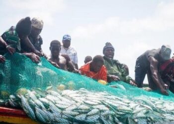 Sierra Leone Government Lifts Ban on Artisanal Fishing 