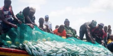 Sierra Leone Government Lifts Ban on Artisanal Fishing