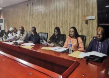 Parliamentary Committee Screens Presidential Nominees for Key National Positions