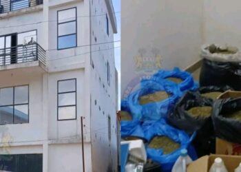 Police Uncover Suspected Kush Lab in Freetown Raid