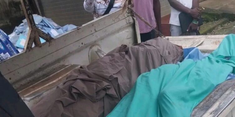 Tragedy in Grafton: Two Young Men Found Dead in Pharmacy