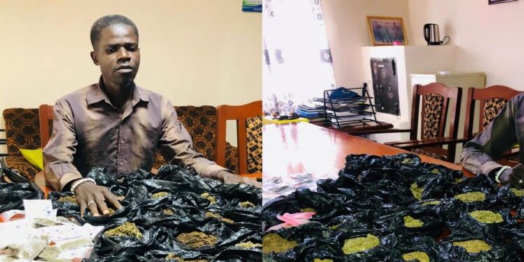 Police Seize Large Quantity of Kush in Kenema, Suspect Arrested