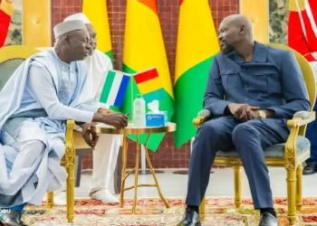 Sierra Leone’s New Ambassador to Guinea Presents Credentials to President Doumbouya