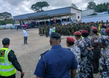 Joint Security Operation Leads to Several Drug Arrests in Freetown and Waterloo