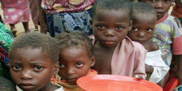 Sierra Leone’s Hunger Paradox: When the “Feed Salone” Dream Meets Empty Plates