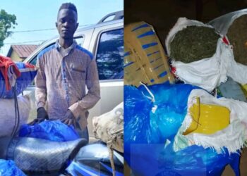 Man Arrested with Four Bales of Suspected Cannabis in Dambala Town