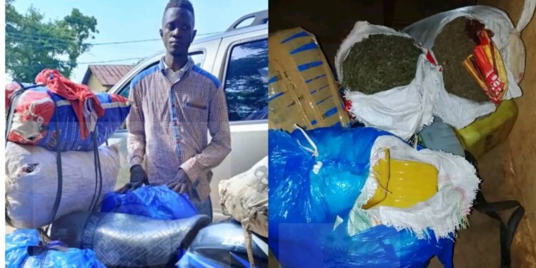 Man Arrested with Four Bales of Suspected Cannabis in Dambala Town
