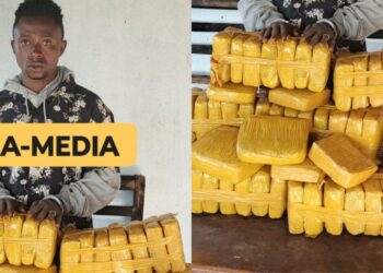 Sierra Leonean Arrested in Liberia with Drugs Worth Over Le70 Million