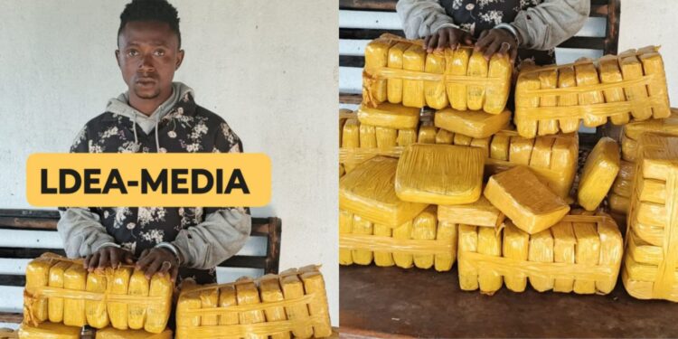 Sierra Leonean Arrested in Liberia with Drugs Worth Over Le70 Million