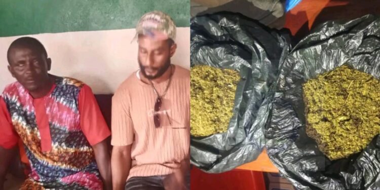 Two Suspected Drug Traffickers Arrested at Mile 38 Checkpoint