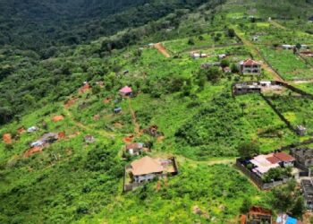 Sierra Leone Officials Facilitated Illegal Mansion-Building in a Key National Park