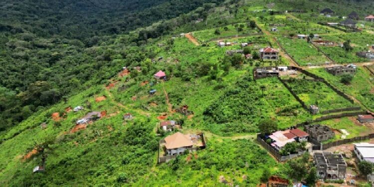 Sierra Leone Officials Facilitated Illegal Mansion-Building in a Key National Park