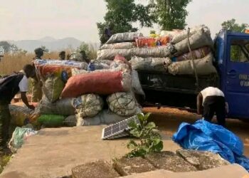 NPAA Arrests 11 for Illegal Charcoal Burning, Deforestation in Western Area Peninsula National Park