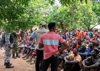 Sierra Leone Government Issues Update on Repatriation of Citizens from Guinea