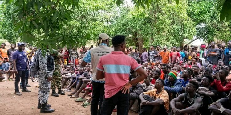 Sierra Leone Government Issues Update on Repatriation of Citizens from Guinea