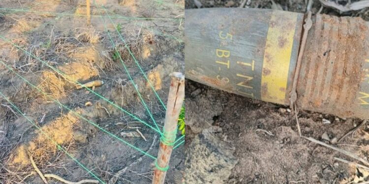 Suspected War-Era Explosive Device Found Along Waterloo–Masiaka Highway