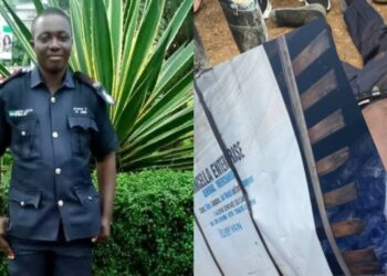 Traffic Police Officer Reportedly Killed in Road Accident at Regent
