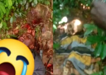 Several Dead Bodies Discovered in Nimiyama Chiefdom Bush, Kono District 