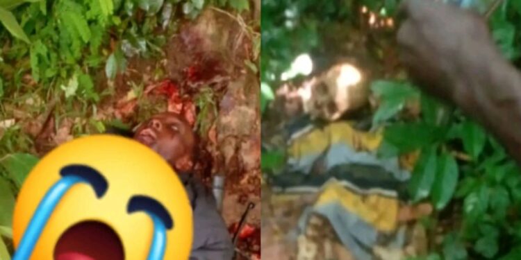 Several Dead Bodies Discovered in Nimiyama Chiefdom Bush, Kono District 