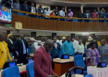Parliament Passes Constitutional Amendment Bill Amid Opposition Walkout