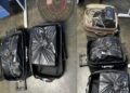 51kg of Cocaine Hidden in Two Suitcases from Freetown Flight Seized at Brussels Airport