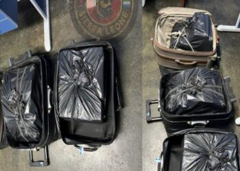 51kg of Cocaine Hidden in Two Suitcases from Freetown Flight Seized at Brussels Airport