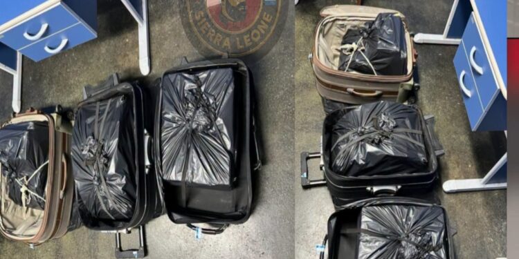 51kg of Cocaine Hidden in Two Suitcases from Freetown Flight Seized at Brussels Airport