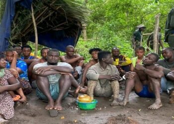 17 Arrested in Major Crackdown on Illegal Mining Inside Outamba-Kilimi National Park