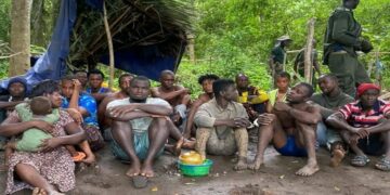 17 Arrested in Major Crackdown on Illegal Mining Inside Outamba-Kilimi National Park
