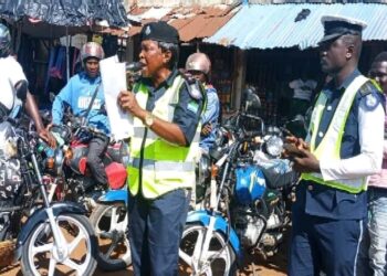 Dog Bites In Bombali Jump From 383 To 469 As Govt Vows To End Rabies Deaths By 2030