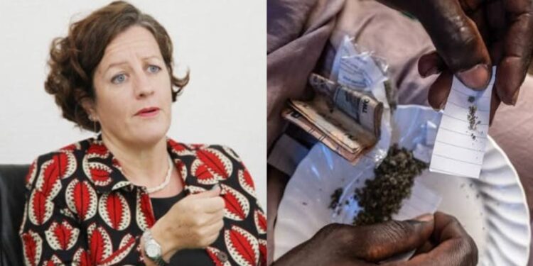 British High Commission Responds to Allegation of Fuelling Kush Epidemic in Sierra Leone